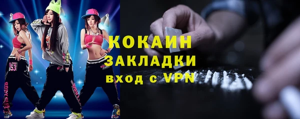 ешки Бородино