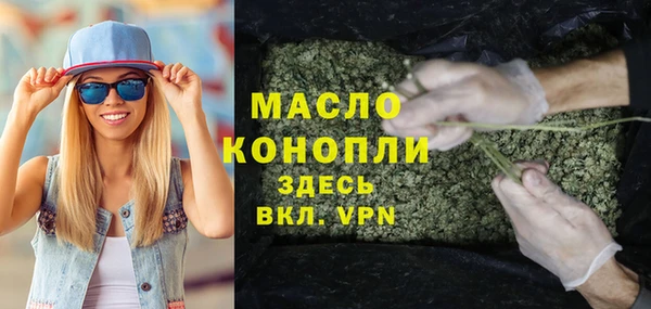 ешки Бородино