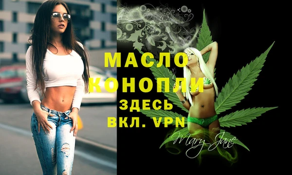 сатива Тобольск