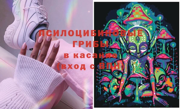 прущая мука Богородицк