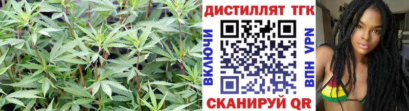 Дистиллят ТГК вейп с тгк  Ярцево 