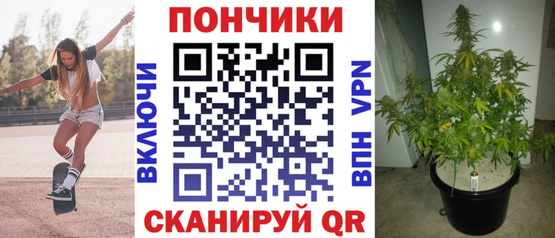 купить наркотик  Ярцево  Бошки марихуана THC 21% 